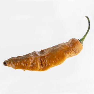 Gold Ghost Pepper Seeds - The Pepper Pantry (Formerly Marie Sharp's)